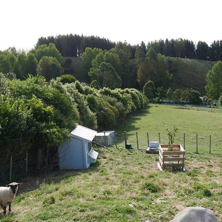 Aston Road Villa Bed & Breakfast Waikanae Extérieur photo