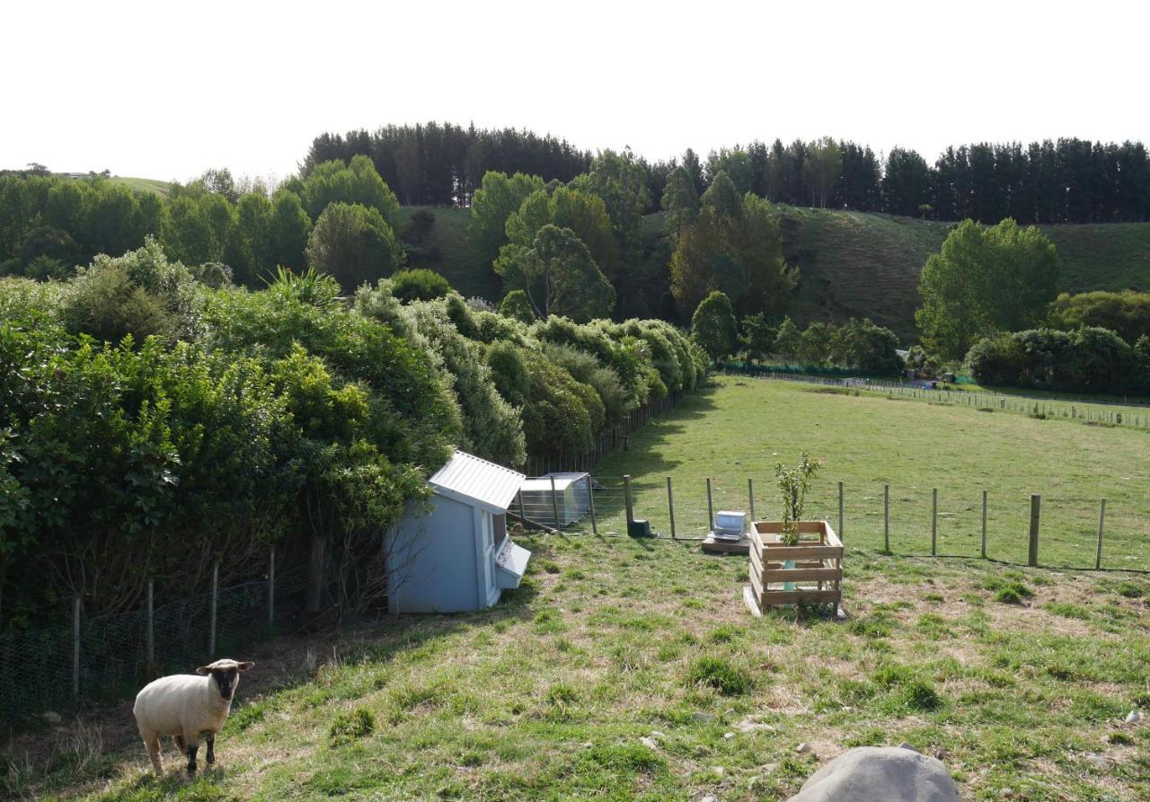 Aston Road Villa Bed & Breakfast Waikanae Extérieur photo