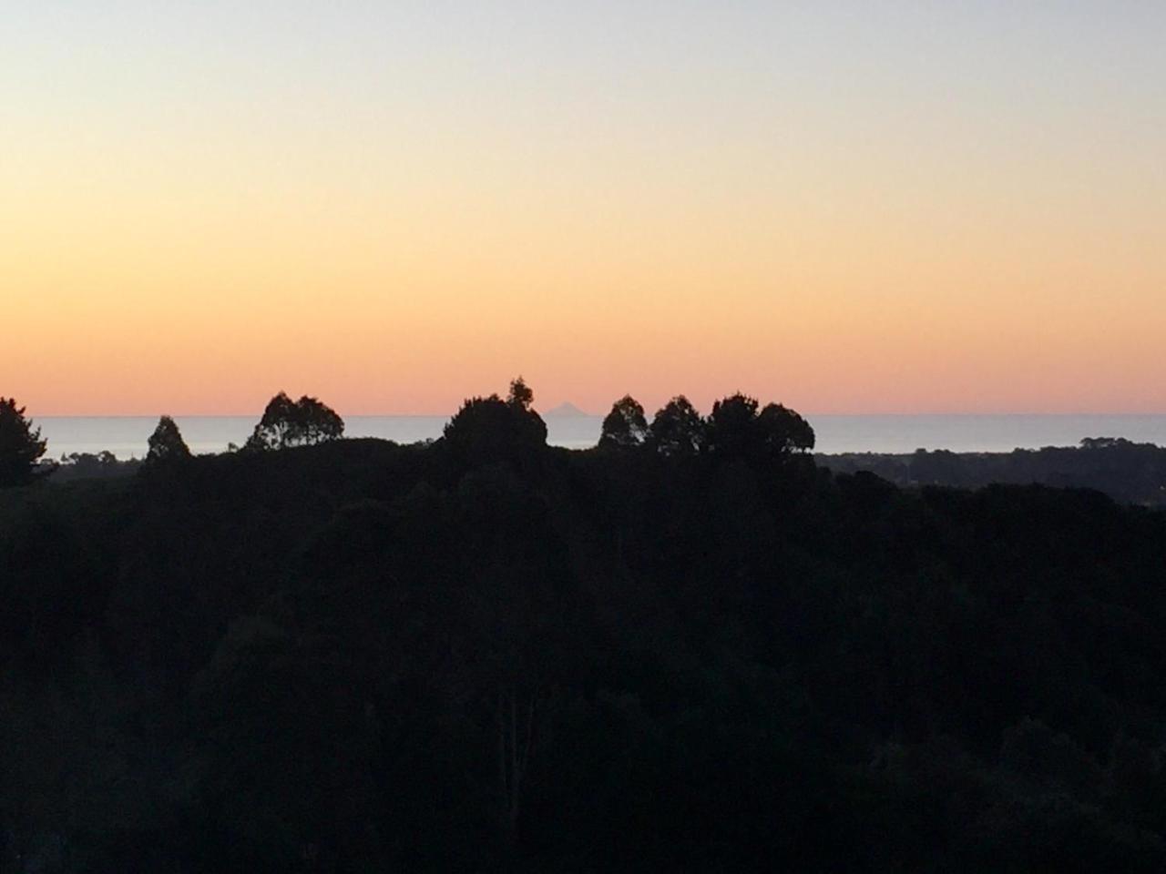 Aston Road Villa Bed & Breakfast Waikanae Extérieur photo